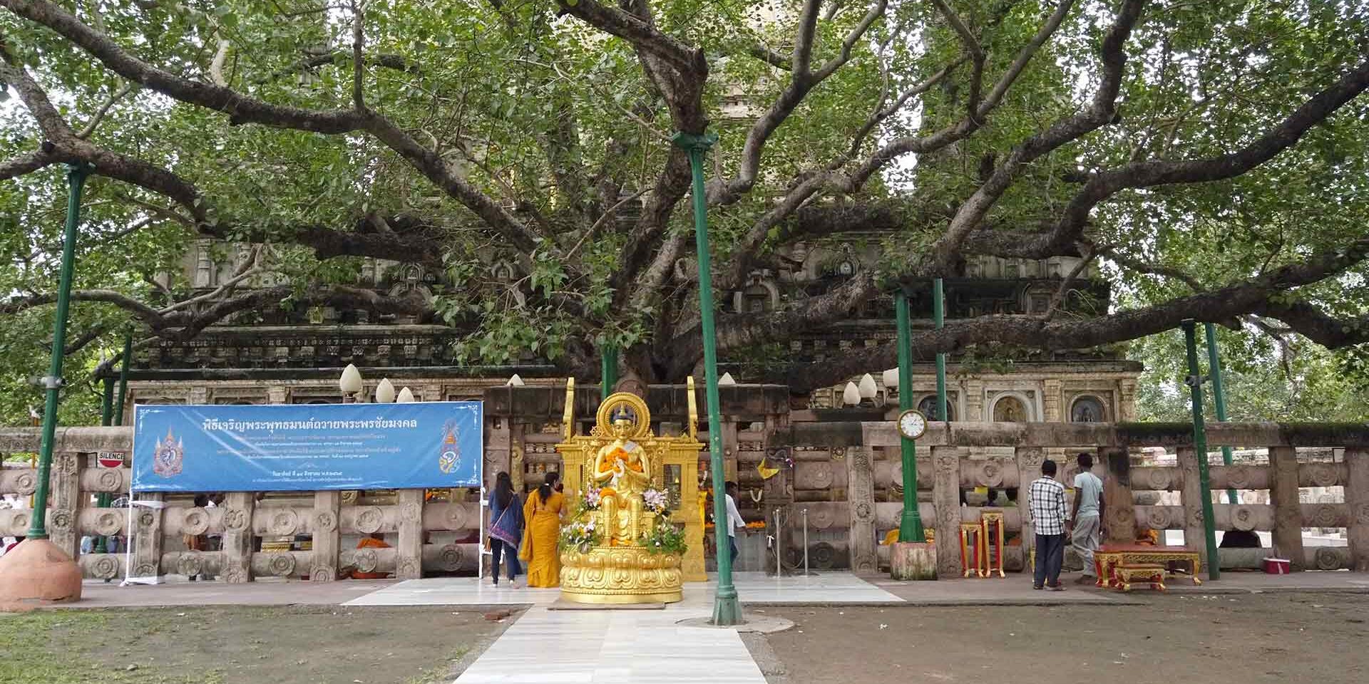 Vi porto con me nel mio straordinario viaggio sulle tracce del Buddha