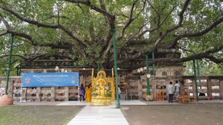 Vi porto con me nel mio straordinario viaggio sulle tracce del Buddha
