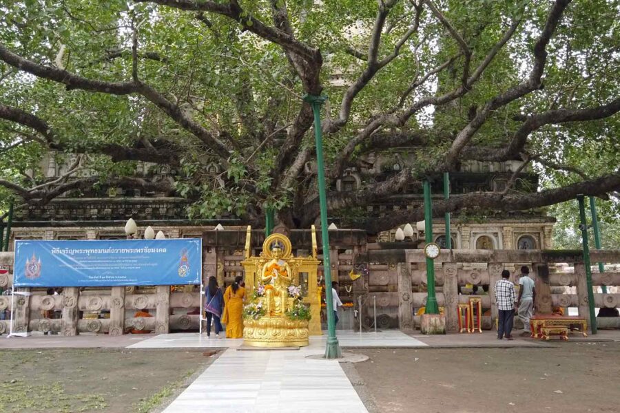 Vi porto con me nel mio straordinario viaggio sulle tracce del Buddha