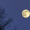 «Dopo una Luna piena»: una meditazione-poesia per rinascere
