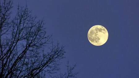 «Dopo una Luna piena»: una meditazione-poesia per rinascere