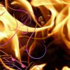 11 – La ricetta per agire bene: primo ingrediente, il sacrificio