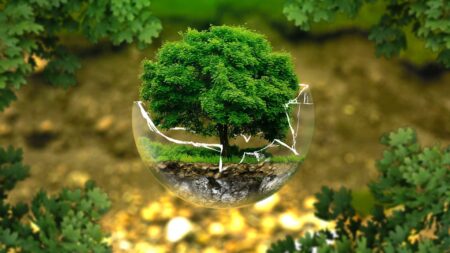 Praticare l’equilibrio nella società della prestazione