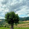 Per cambiare vita bisogna cedere alla trasformazione