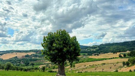 Per cambiare vita bisogna cedere alla trasformazione