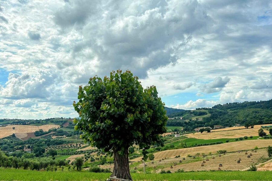 Per cambiare vita bisogna cedere alla trasformazione